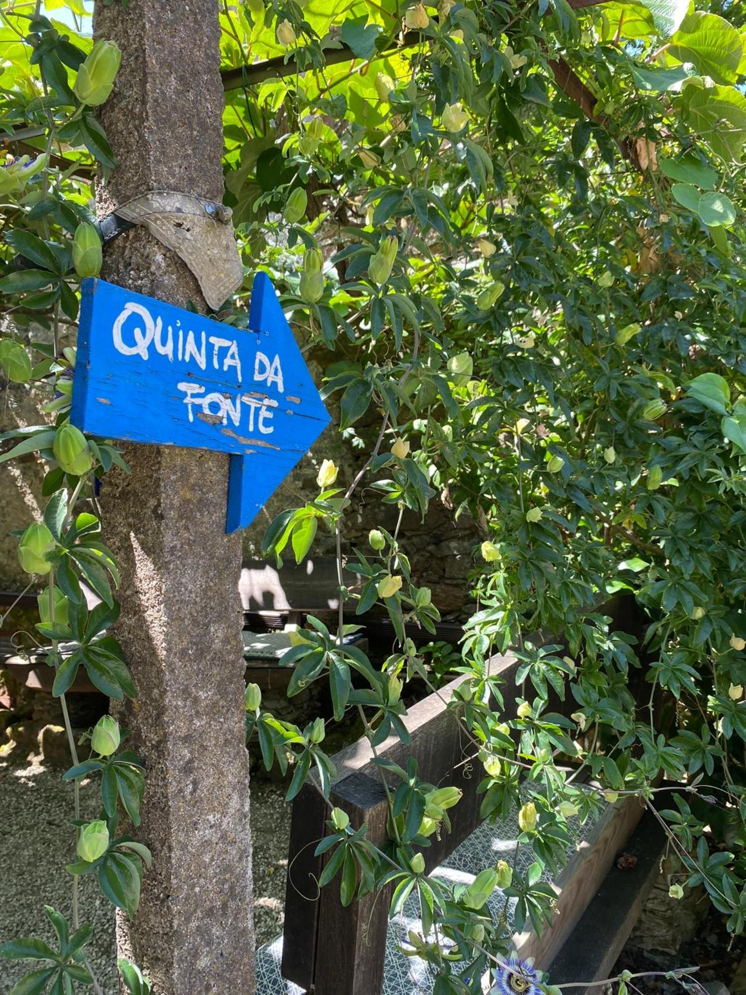 Guest Room Agro-Turismo Quinta Da Fonte Bed&Breakfast Figueiro Dos Vinhos Zewnętrze zdjęcie
